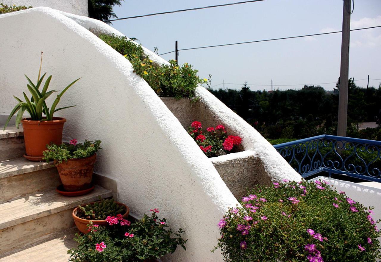 Patty Green House Castellana Grotte Exteriér fotografie